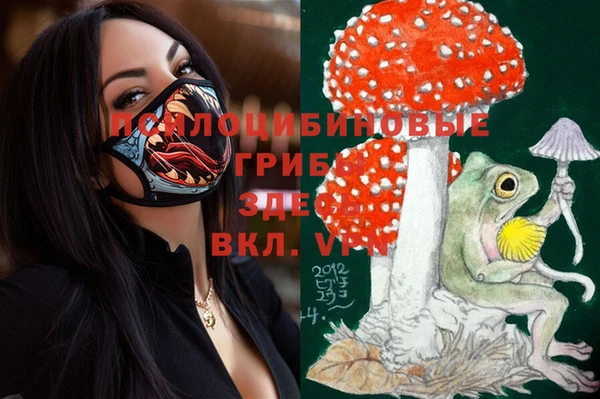 ешки Магас