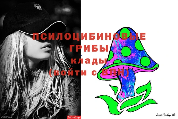 ешки Магас