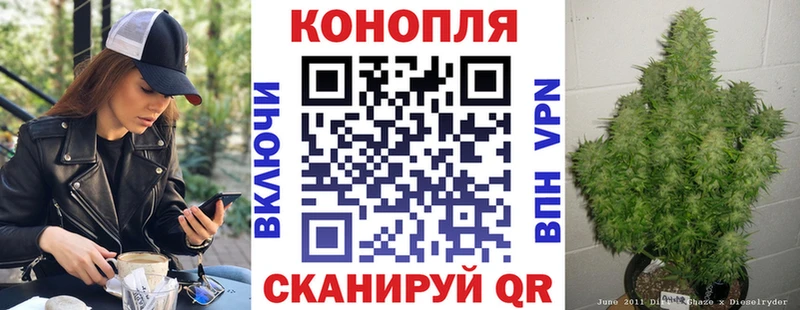 Каннабис планчик  Купить  Ейск 
